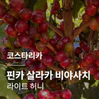 [코스타리카] 핀카 살라카 비야사치 라이트 허니