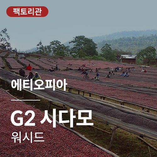 에티오피아 G2 시다모 워시드 &middot; 20KG세일