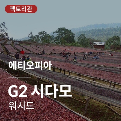 [에티오피아] G2 시다모 워시드★20KG세일★