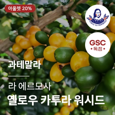 [과테말라] [라 에르모사] 옐로우 카투라 워시드☆아울렛☆