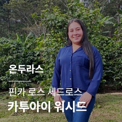 [온두라스] 핀카 로스 세드로스 카투아이 워시드