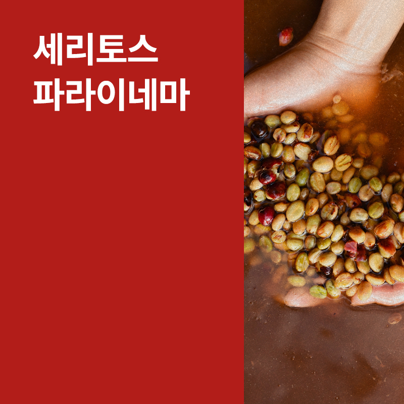 온두라스 세리토스 파라이네마 워시드
