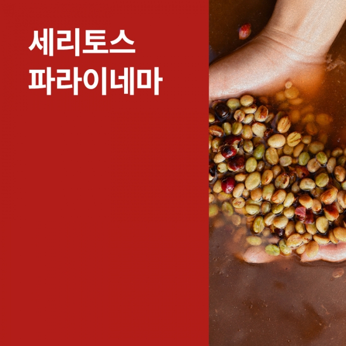 온두라스 세리토스 파라이네마 워시드