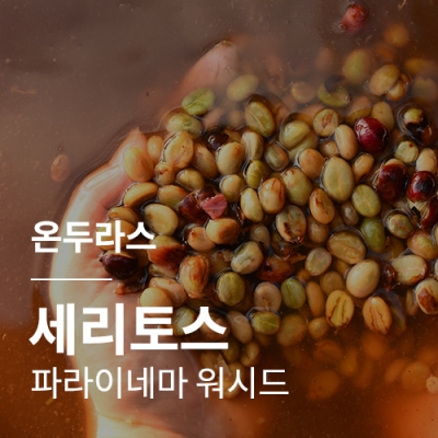 [온두라스] 세리토스 파라이네마 워시드