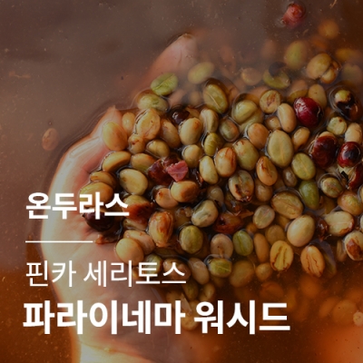 [온두라스] 핀카 세리토스 파라이네마 워시드