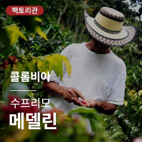 [콜롬비아] 수프리모 메델린★20KG세일★