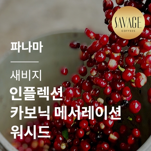 [파나마] [새비지] 인플렉션 카보닉 메서레이션 워시드★스페셜세일★