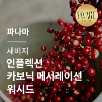 [파나마] [새비지] 인플렉션 카보닉 메서레이션 워시드★스페셜세일★