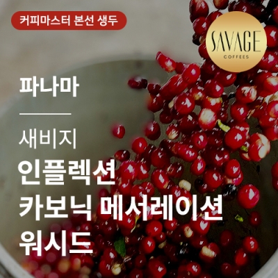 [파나마] [새비지] 인플렉션 카보닉 메서레이션 워시드★커피마스터 공식생두★