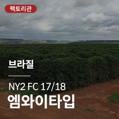 [브라질] NY2 FC 17/18 엠와이타입★20KG세일★