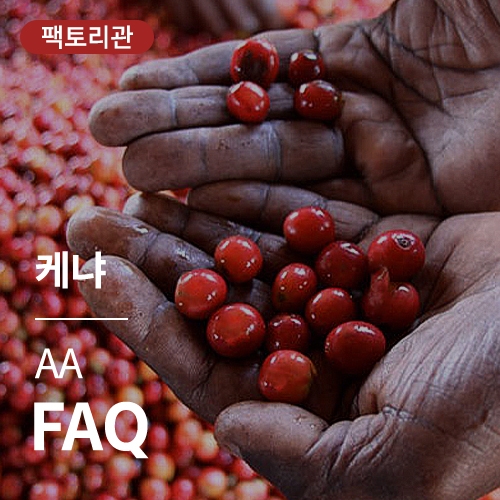 케냐 AA FAQ