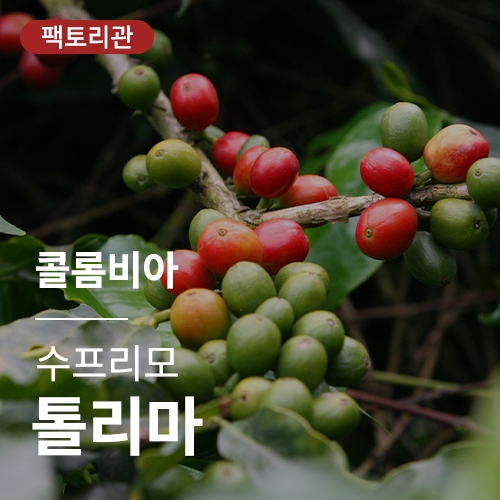 콜롬비아 수프리모 톨리마