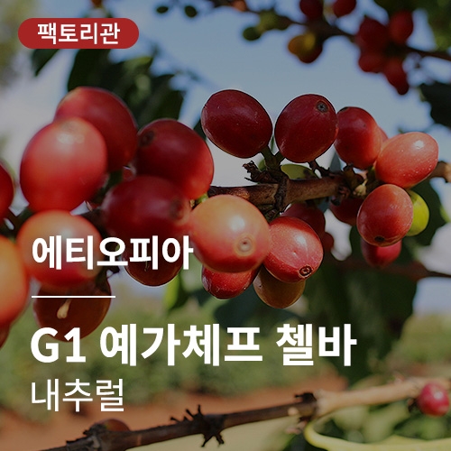 에티오피아 G1 예가체프 첼바 내추럴 &middot; 20KG세일