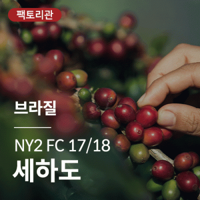 [브라질] NY2 FC 17/18 세하도★20KG한정세일★