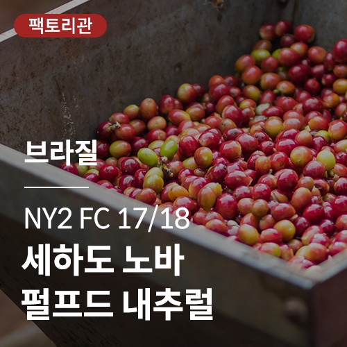 [브라질] NY2 FC 17/18 세하도 노바 펄프드 내추럴