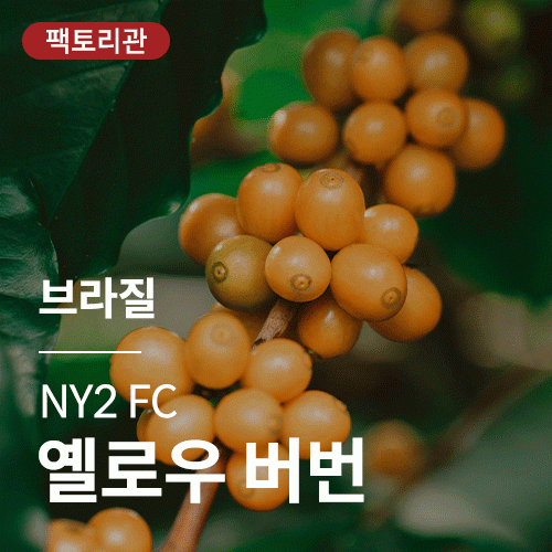 [브라질] NY2 FC 옐로우 버번★20KG세일★
