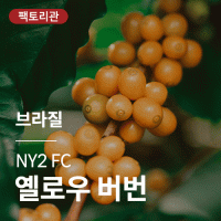 [브라질] NY2 FC 옐로우 버번★20KG세일★