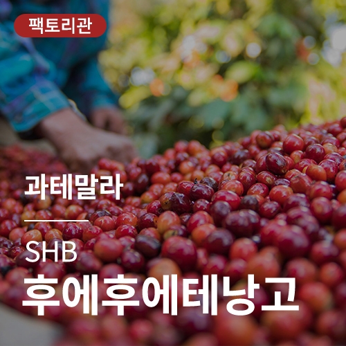 [과테말라] SHB 후에후에테낭고★20KG세일★