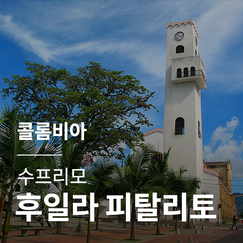 콜롬비아 수프리모 후일라 피탈리토