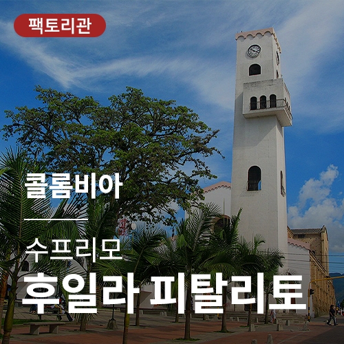 콜롬비아 수프리모 후일라 피탈리토