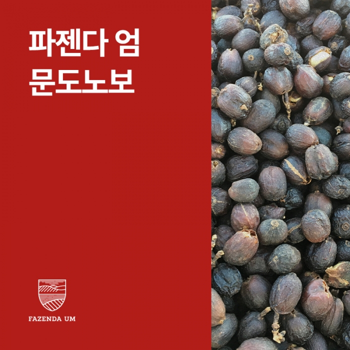 브라질 파젠다 엄 문도노보 내추럴 &middot; 아울렛