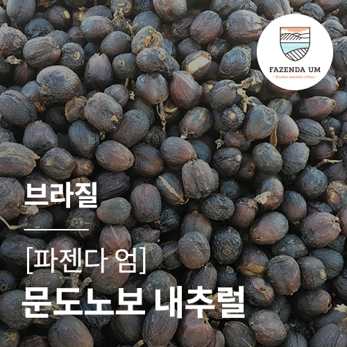 브라질 파젠다 엄 문도노보 내추럴 &middot; 2월세일