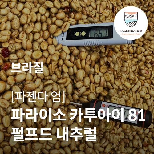 [브라질] [파젠다 엄] 파라이소 카투아이 81 펄프드 내추럴