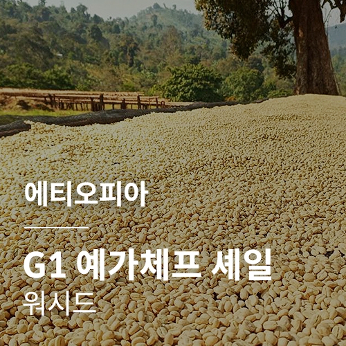 [에티오피아] G1 예가체프 셰일 워시드