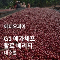 [에티오피아] G1 예가체프 할로 베리티 내추럴
