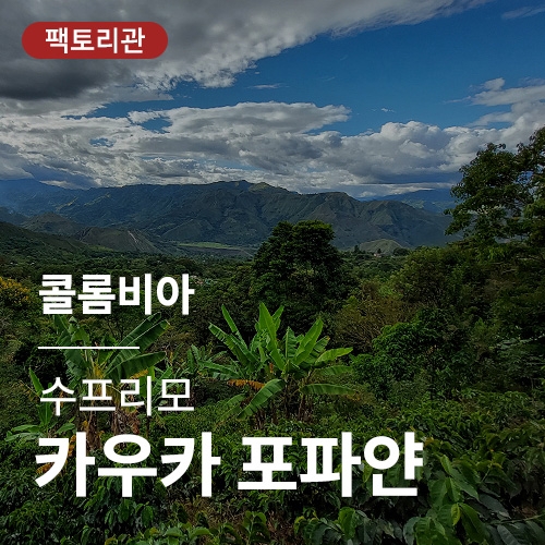 콜롬비아 수프리모 카우카 포파얀 · 20KG세일