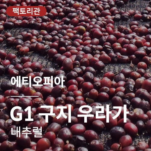 에티오피아 G1 구지 우라가 내추럴