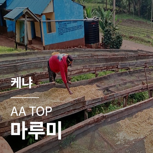 [케냐] AA TOP 마루미