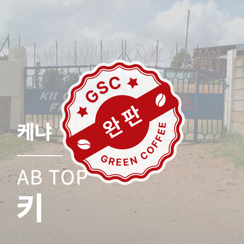 [케냐] AB TOP 키