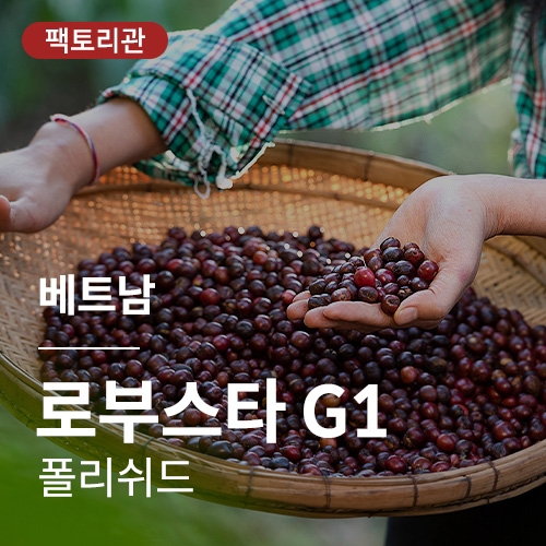 베트남 로부스타 G1 폴리쉬드