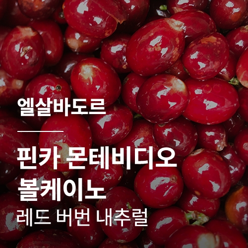 엘살바도르 핀카 몬테비디오 볼케이노 레드 버번 내추럴