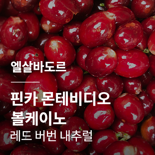 엘살바도르 핀카 몬테비디오 볼케이노 레드 버번 내추럴