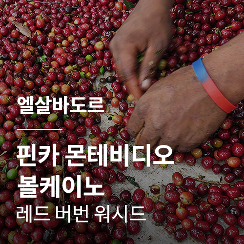 엘살바도르 핀카 몬테비디오 볼케이노 레드 버번 워시드