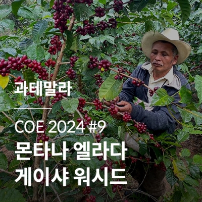 [과테말라] [COE 2024] #9 몬타나 엘라다 게이샤 워시드