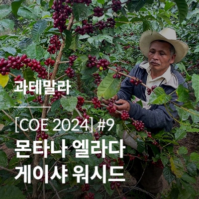 [과테말라] [COE 2024] #9 몬타나 엘라다 게이샤 워시드