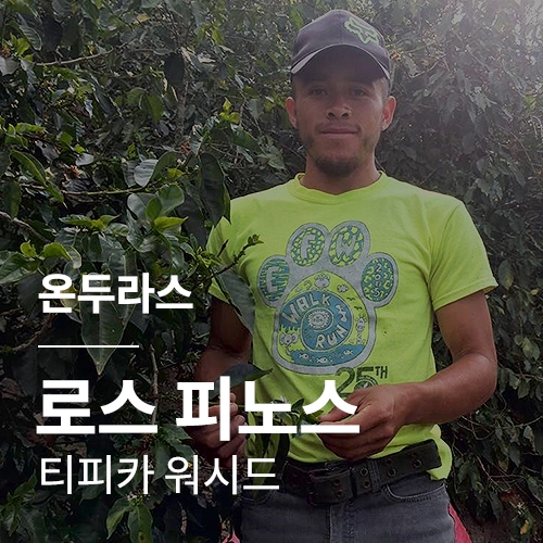 [온두라스] 로스 피노스 티피카 워시드