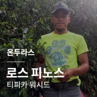 [온두라스] 로스 피노스 티피카 워시드