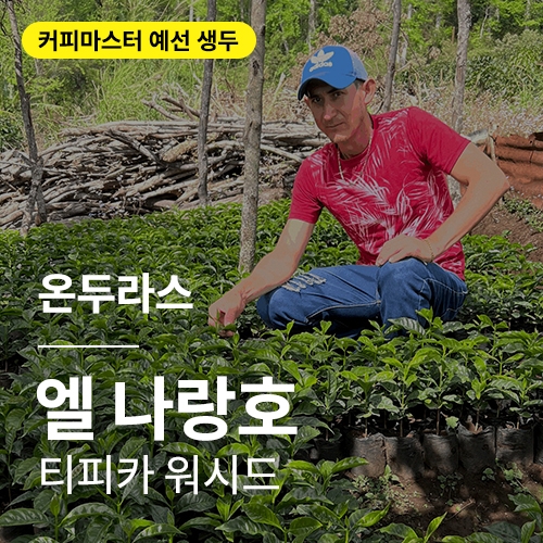 온두라스 엘 나랑호 티피카 워시드