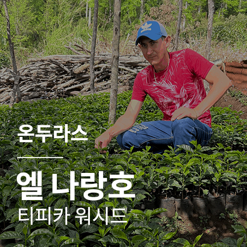 온두라스 엘 나랑호 티피카 워시드