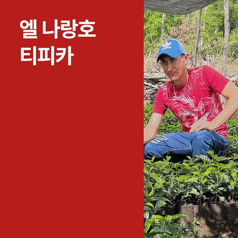 온두라스 엘 나랑호 티피카 워시드