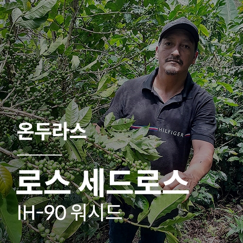 [온두라스] 로스 세드로스 IH-90 워시드🧊COOL세일