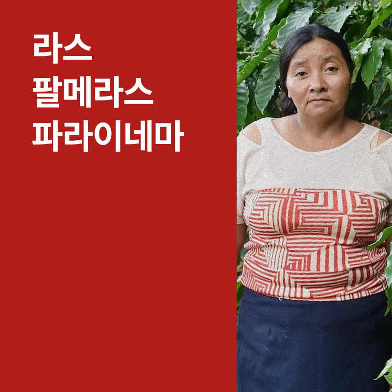 온두라스 라스 팔메라스 파라이네마 워시드 · 8월세일