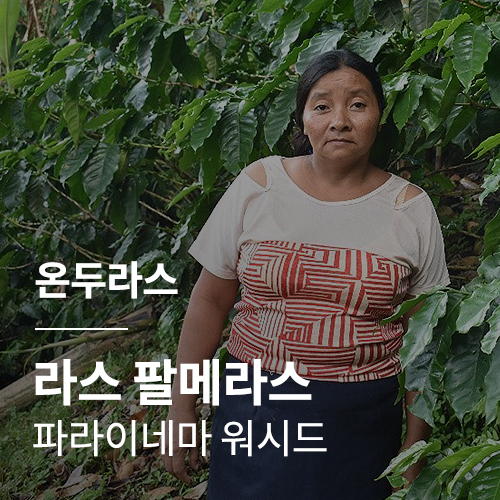 온두라스 라스 팔메라스 파라이네마 워시드