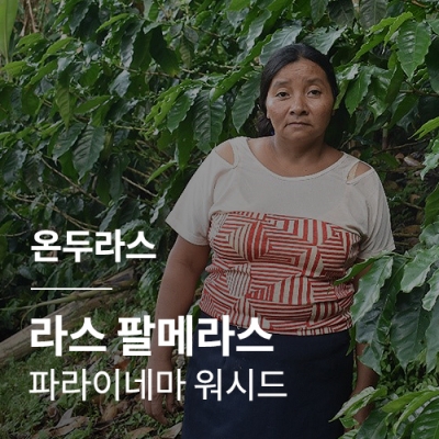 [온두라스] 라스 팔메라스 파라이네마 워시드