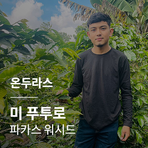 [온두라스] 미 푸투로 파카스 워시드🧊COOL세일