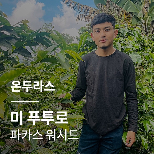 [온두라스] 미 푸투로 파카스 워시드🧊COOL세일